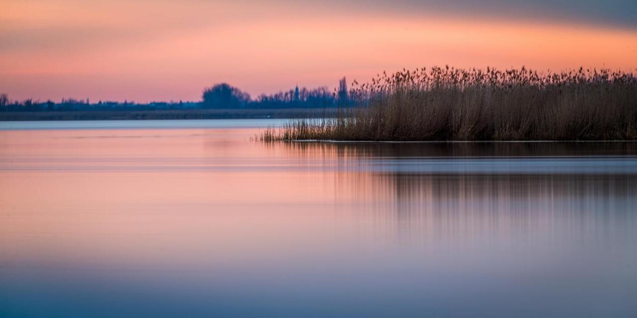 Hotel Gut Zentgraf Mörbisch am See Zewnętrze zdjęcie